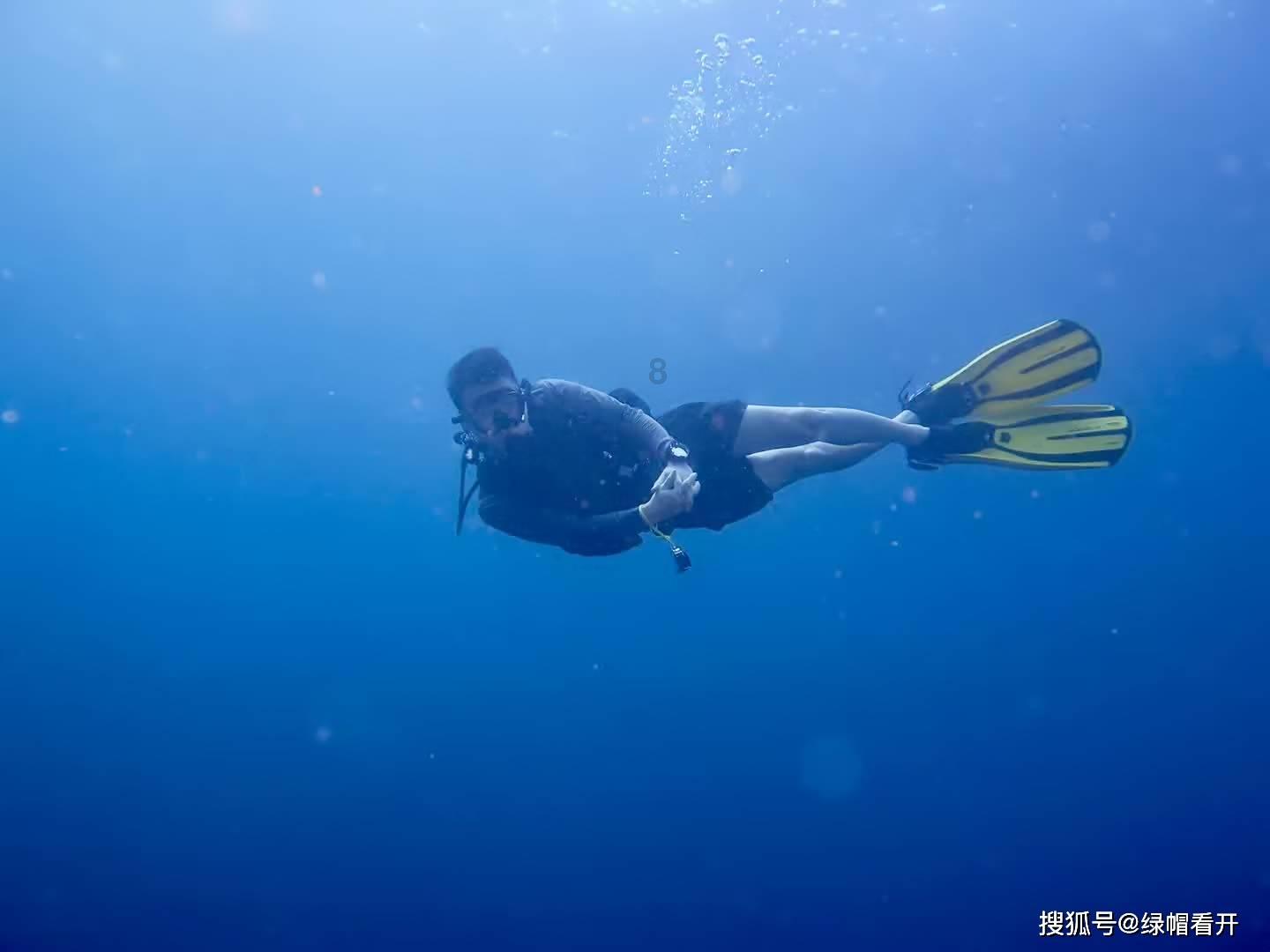 梦幻西游手游